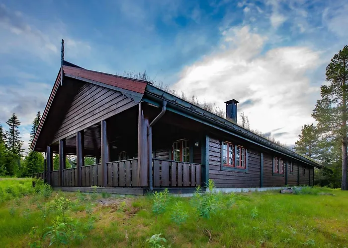 Дом отдыха Trysilfjellet Nord 170 *