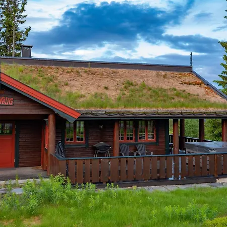 Ferienhaus Trysilfjellet Nord 170