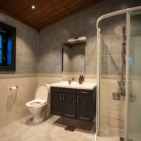 Ferienhaus Trysilfjellet Nord 170 Trysil